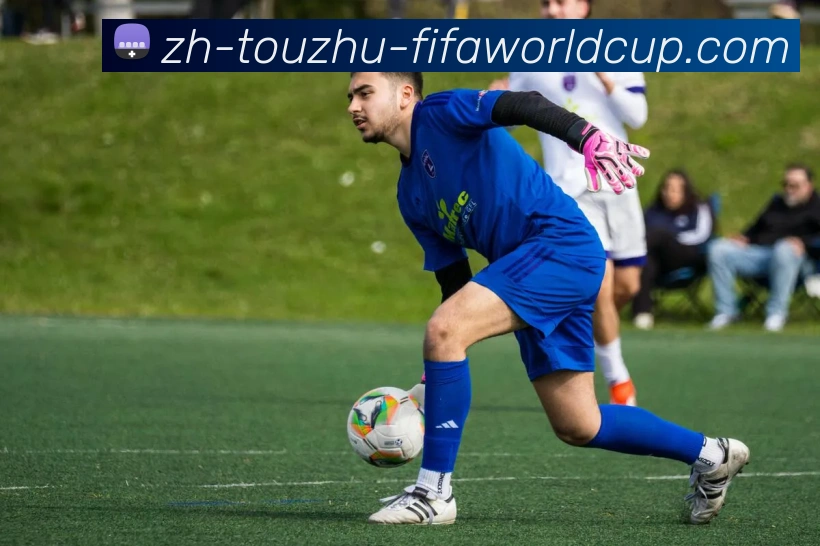 世界杯下注入口APP 高清赛事图